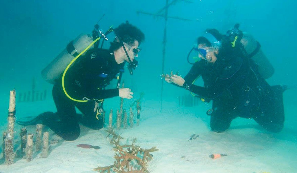 26 Inspirational Best Colleges For Marine Biology