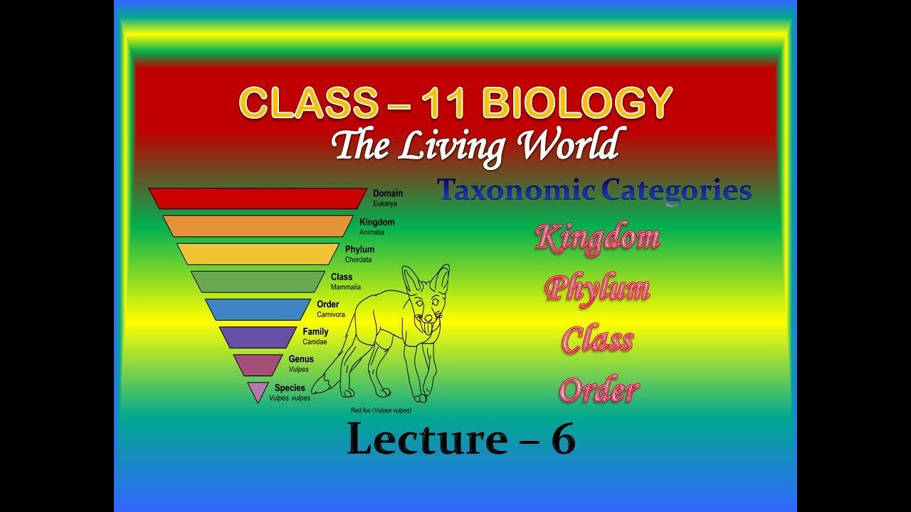 #6 #Biology #Class11 Kingdom Phylum Class Order ...