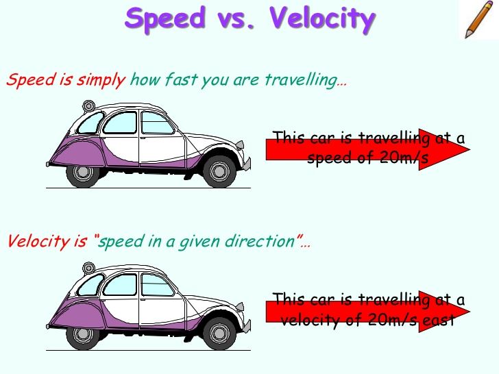 Average Speed and Average Velocity
