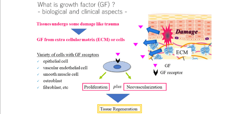 Biological and clinical aspect of growth factors ...