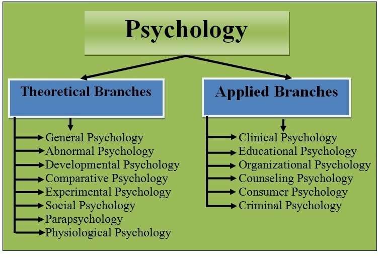 Branches of Psychology
