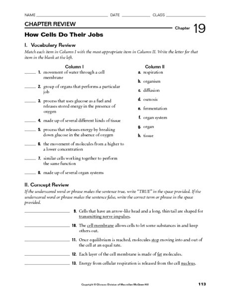 Cells And Their Environment Worksheets Answers