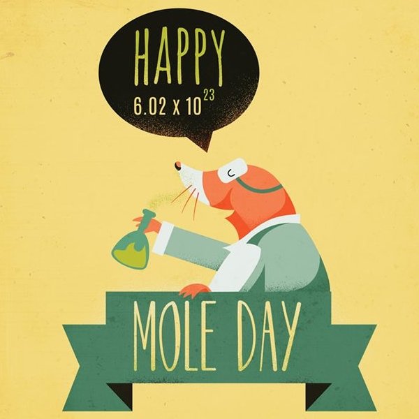 Chemistry students celebrate the importance of Mole Day ...