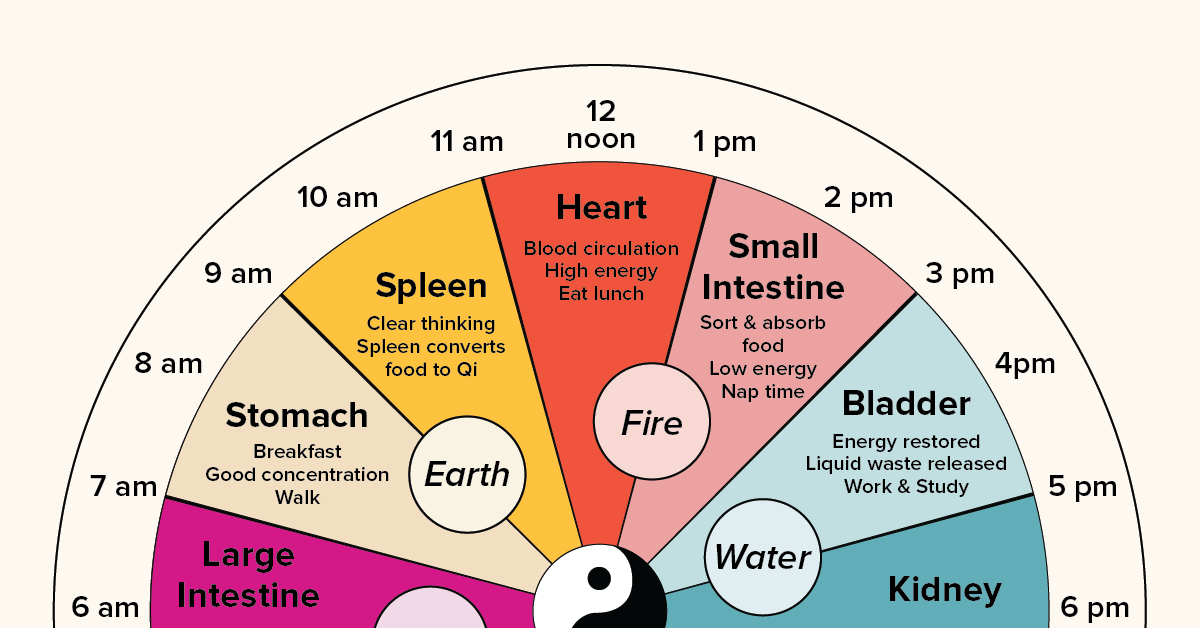 Chinese Body Clock: About, Benefits, Research