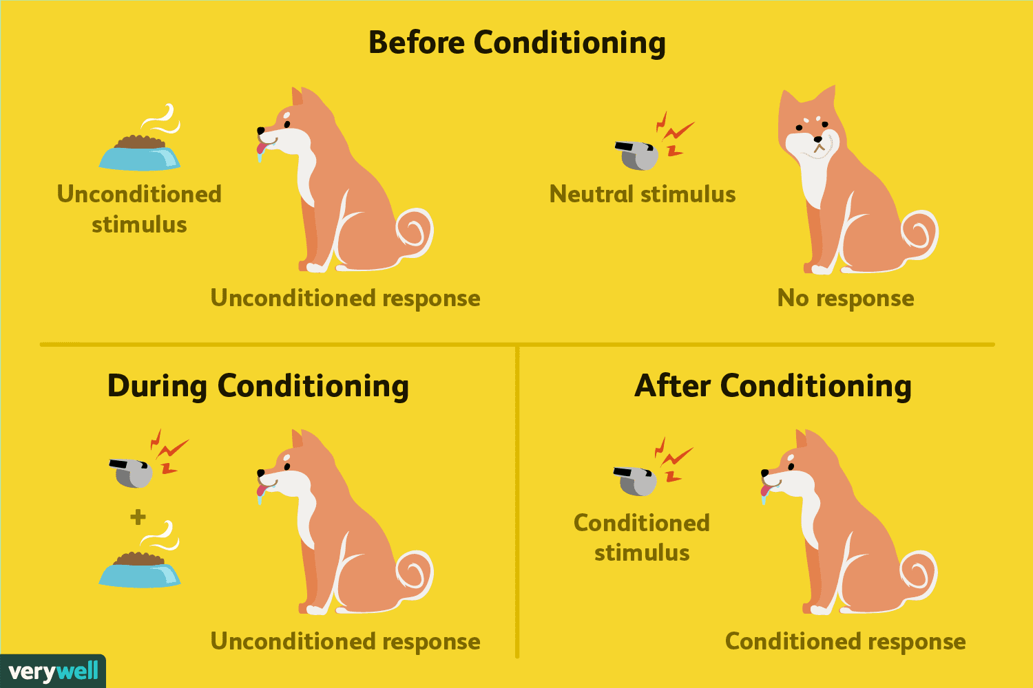 Classical Conditioning: How It Works With Examples
