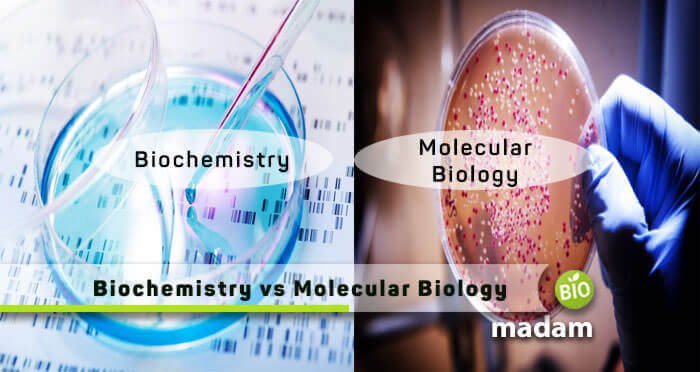 Difference Between Biochemistry and Molecular Biology ...