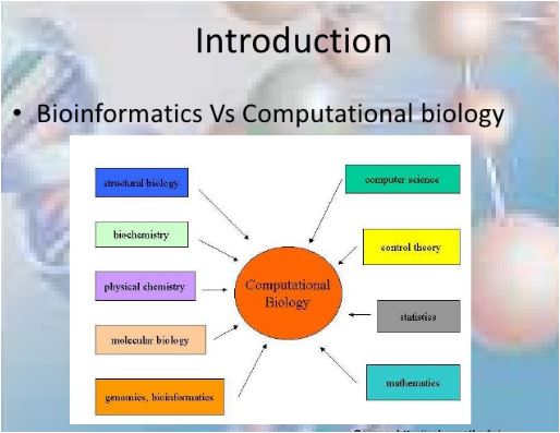 Differences between Bioinformatics and Computational ...