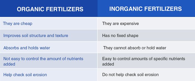 Differences between Organic and Inorganic Fertilizers ...