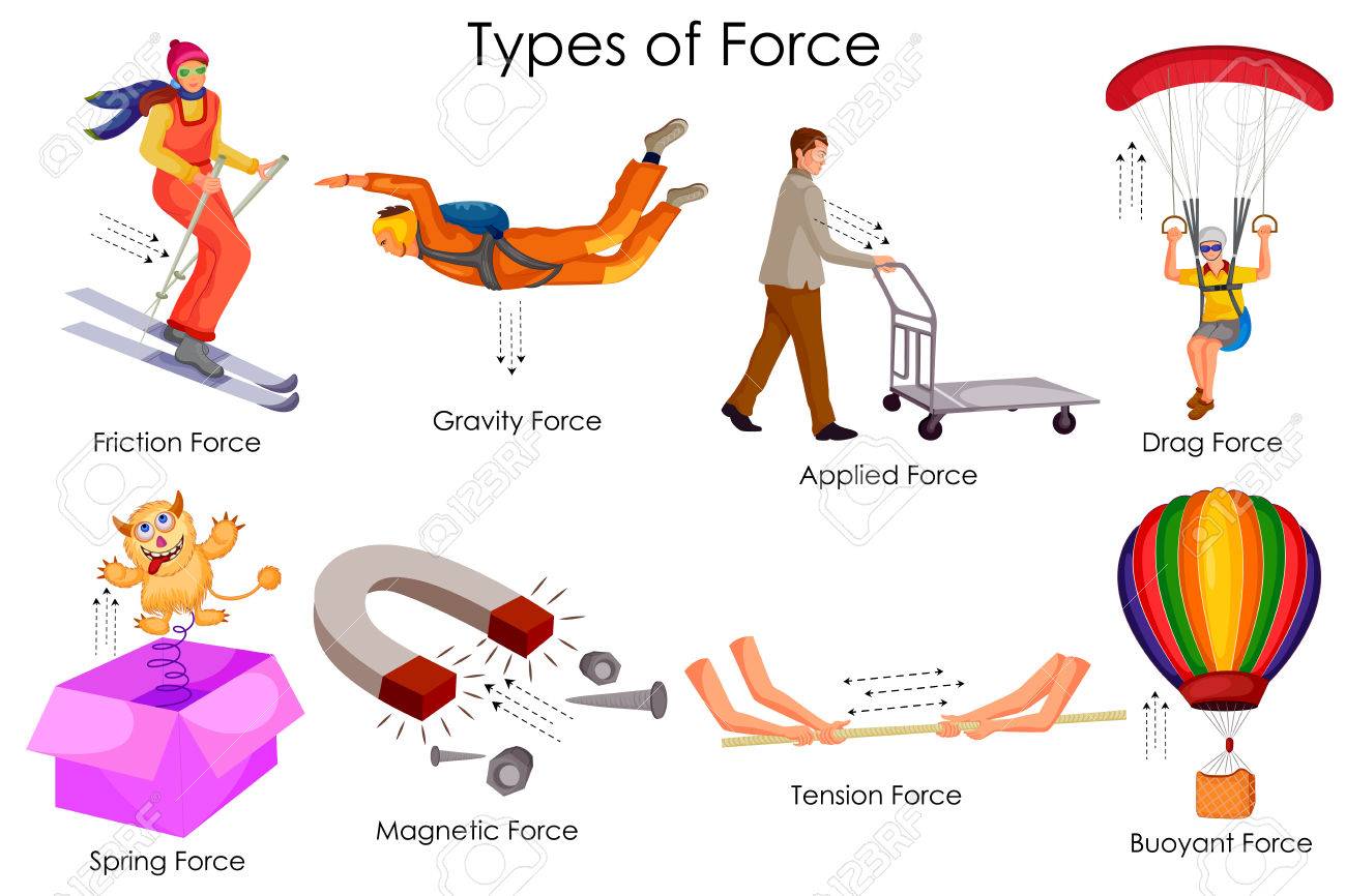 Education Chart of Physics for Different Types of Force ...