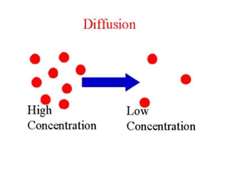 Enlighten yourself with Diffusion and osmosis