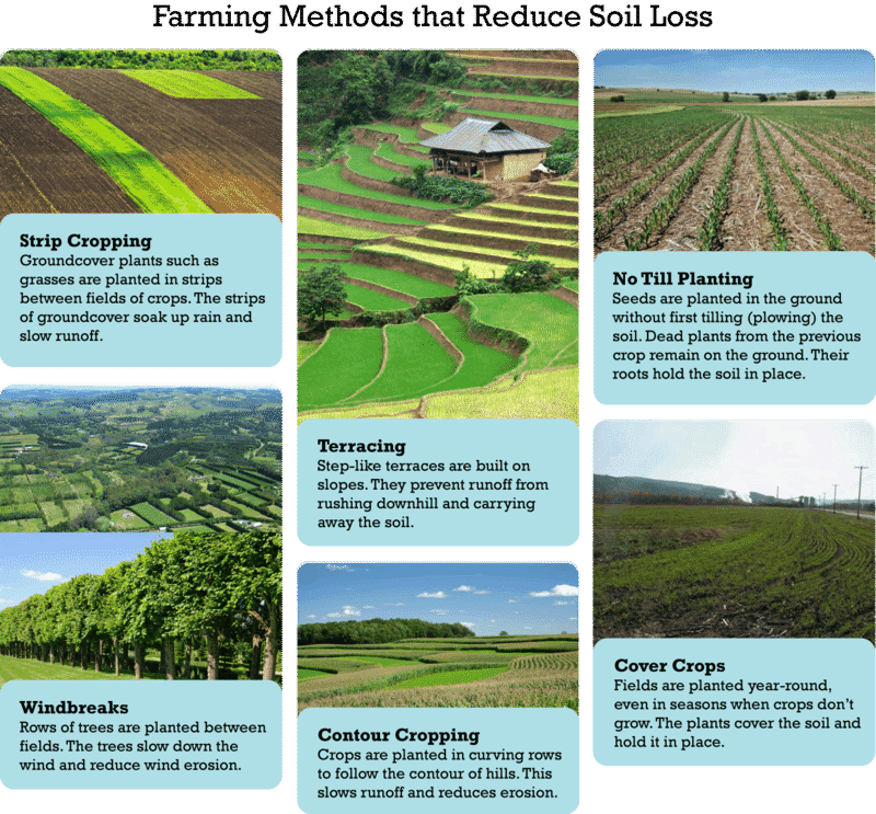 Farming methods that help prevent soil erosion