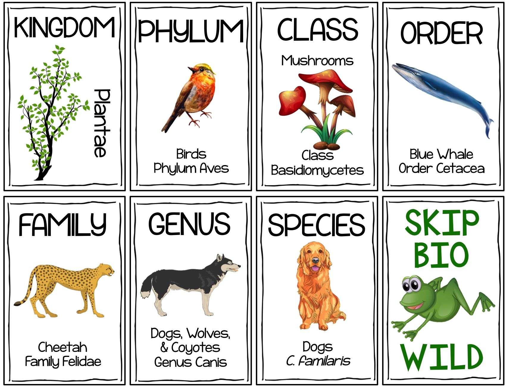 From Domain to Species, this cooperative learning card game will ...