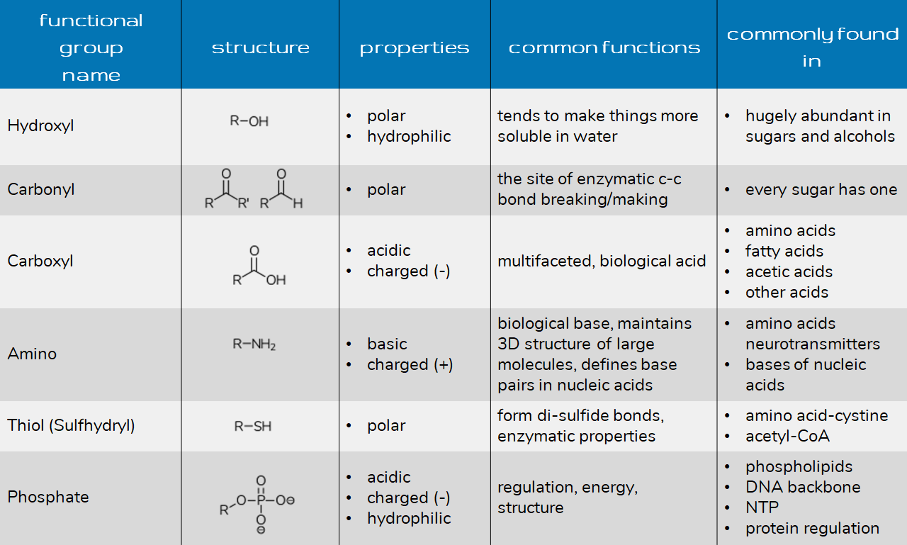 Functional Groups for Health and Bio Majors