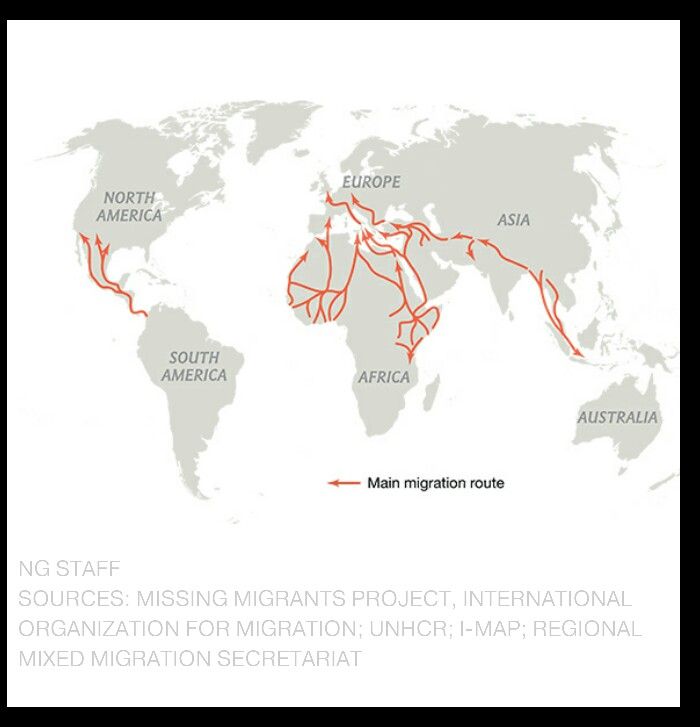 Global migration patterns via NatGeo