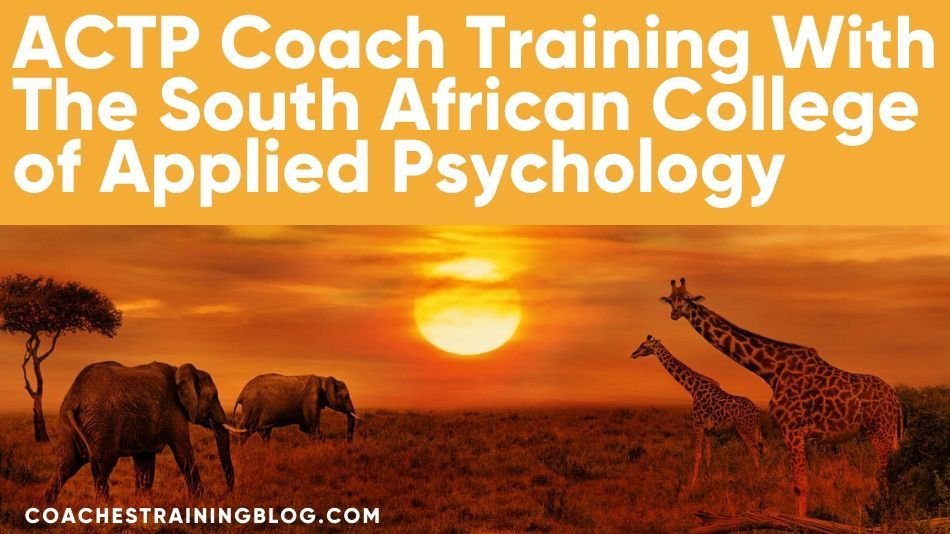 How Many Years To Become A Psychologist In South Africa ...