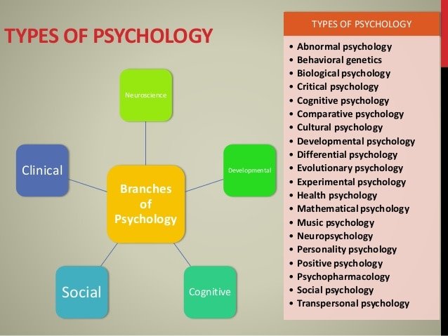 Introduction to Psychology: Skyline Psych 100