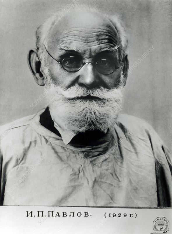 Ivan Pavlov, Russian physiologist