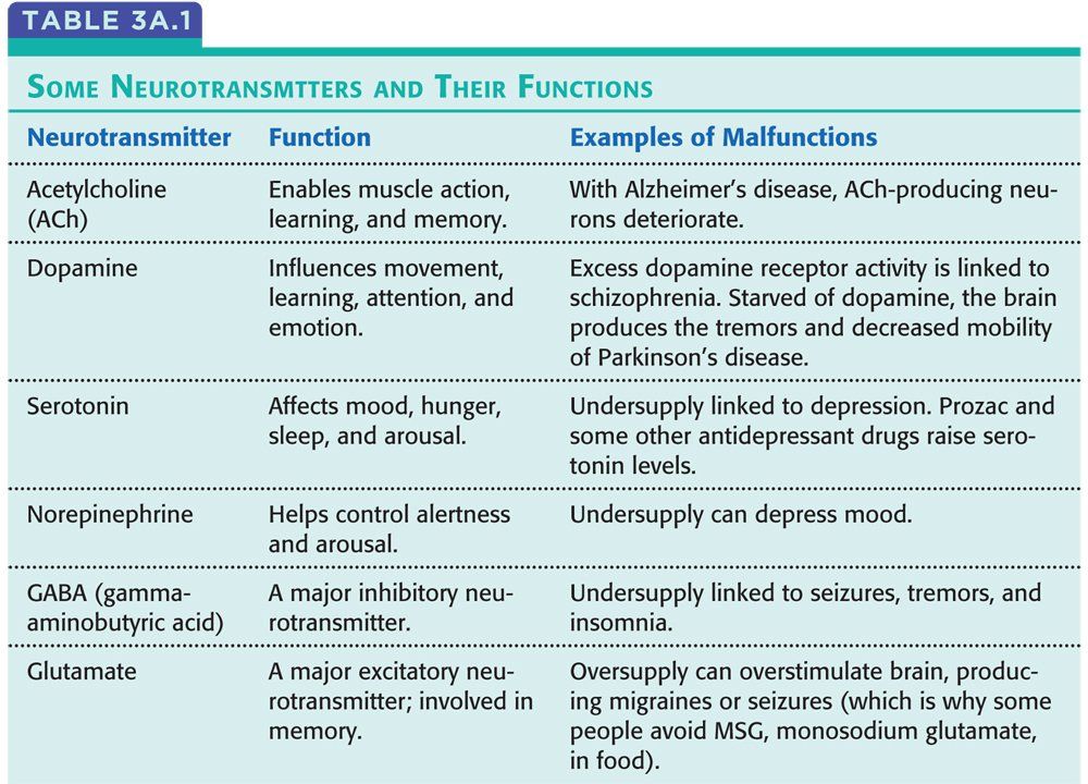 Neurotransmitters and their function