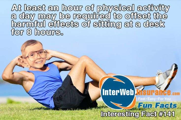 Physical fitness is not only one of the most important keys to a ...