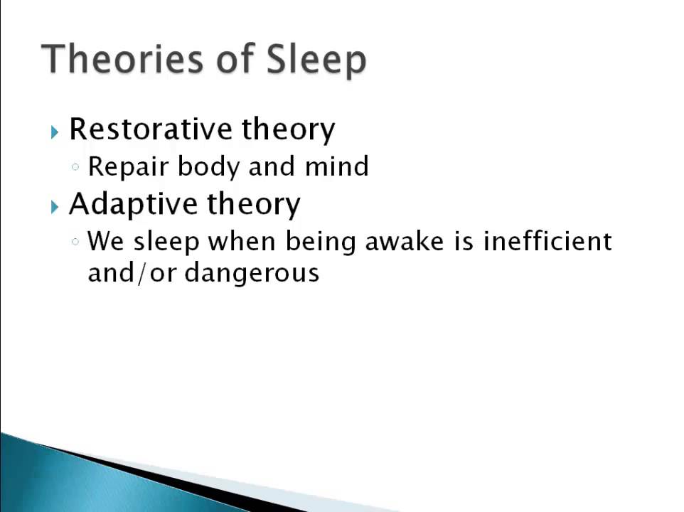 Psychology 101: Why We Sleep