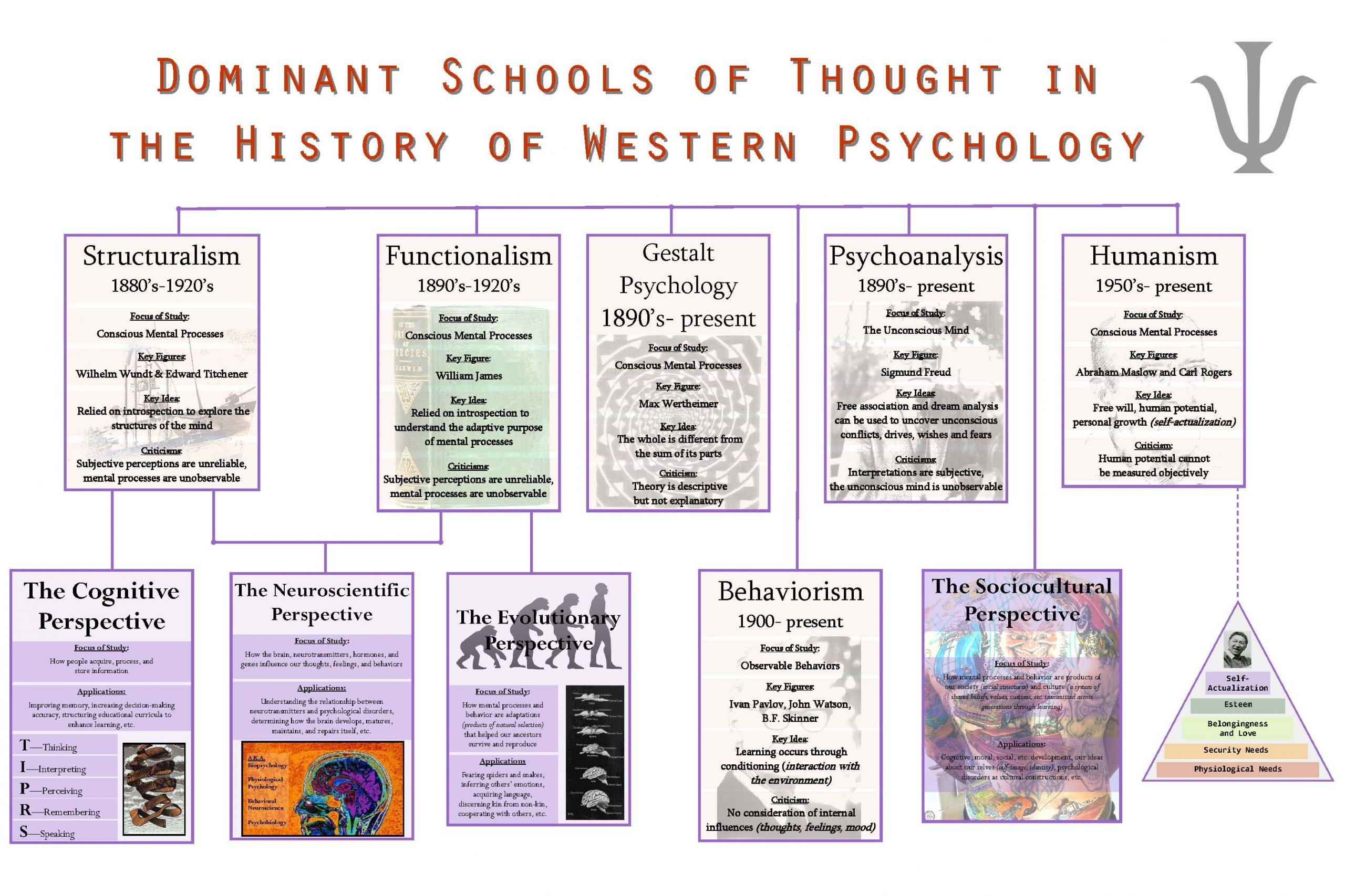 Psychology Schools of Thought Research Paper for ...