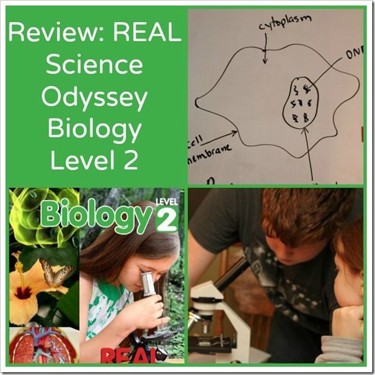REAL Science Odyssey Biology Level 2 Review