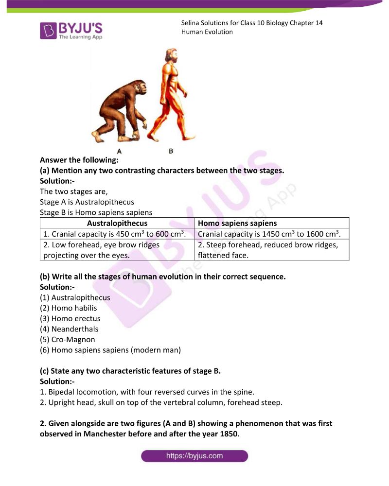 Selina Solutions Concise Biology Class 10 Chapter 14 Human ...