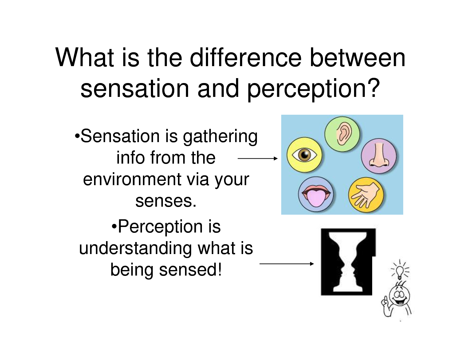 Sensation and Perception Illusions