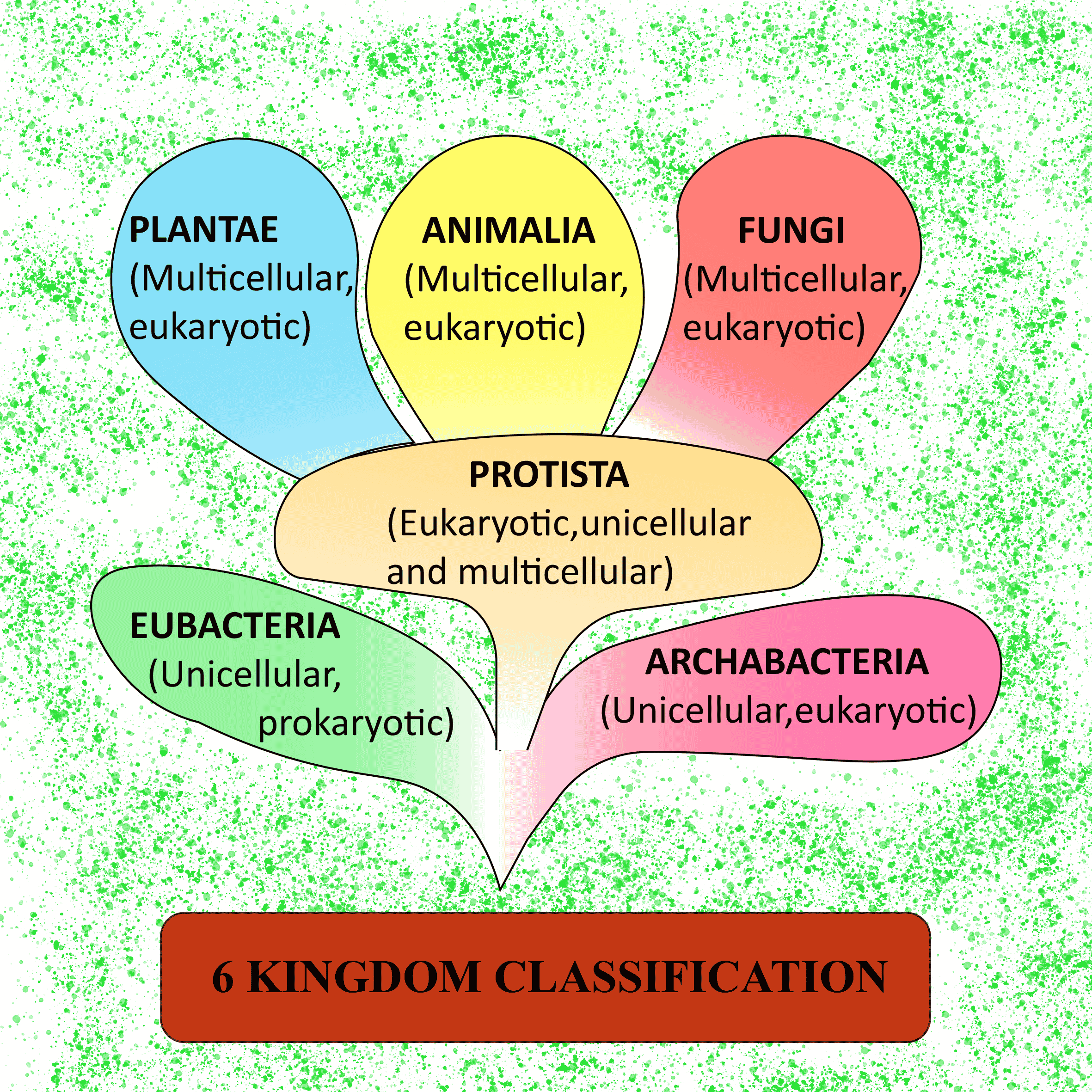 Six kingdom classification was suggested by class 11 biology CBSE