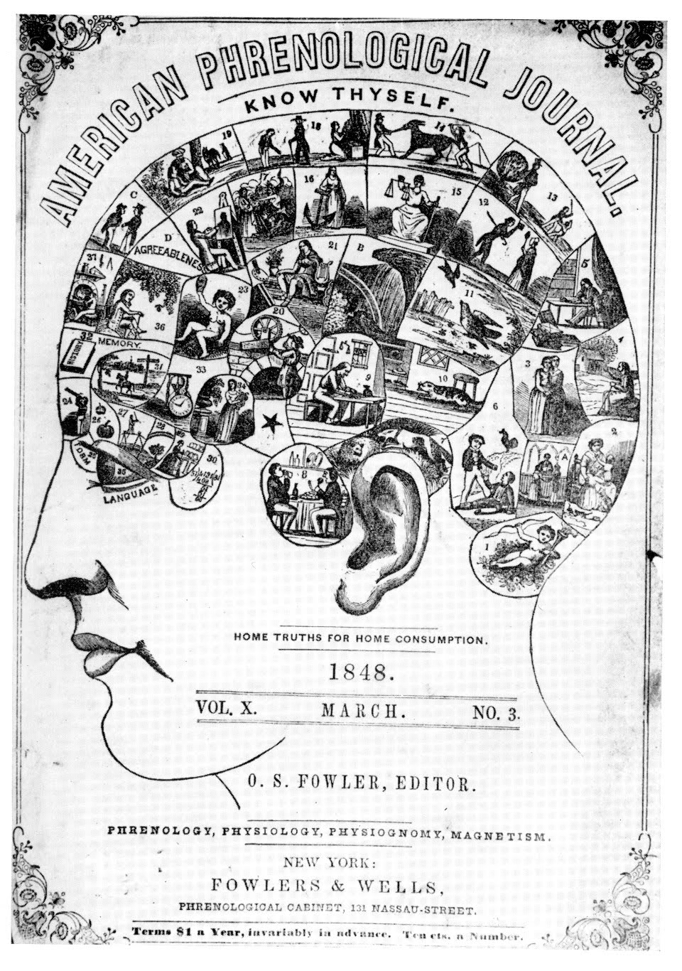 The Neurocritic: Phrenology, Then and Now