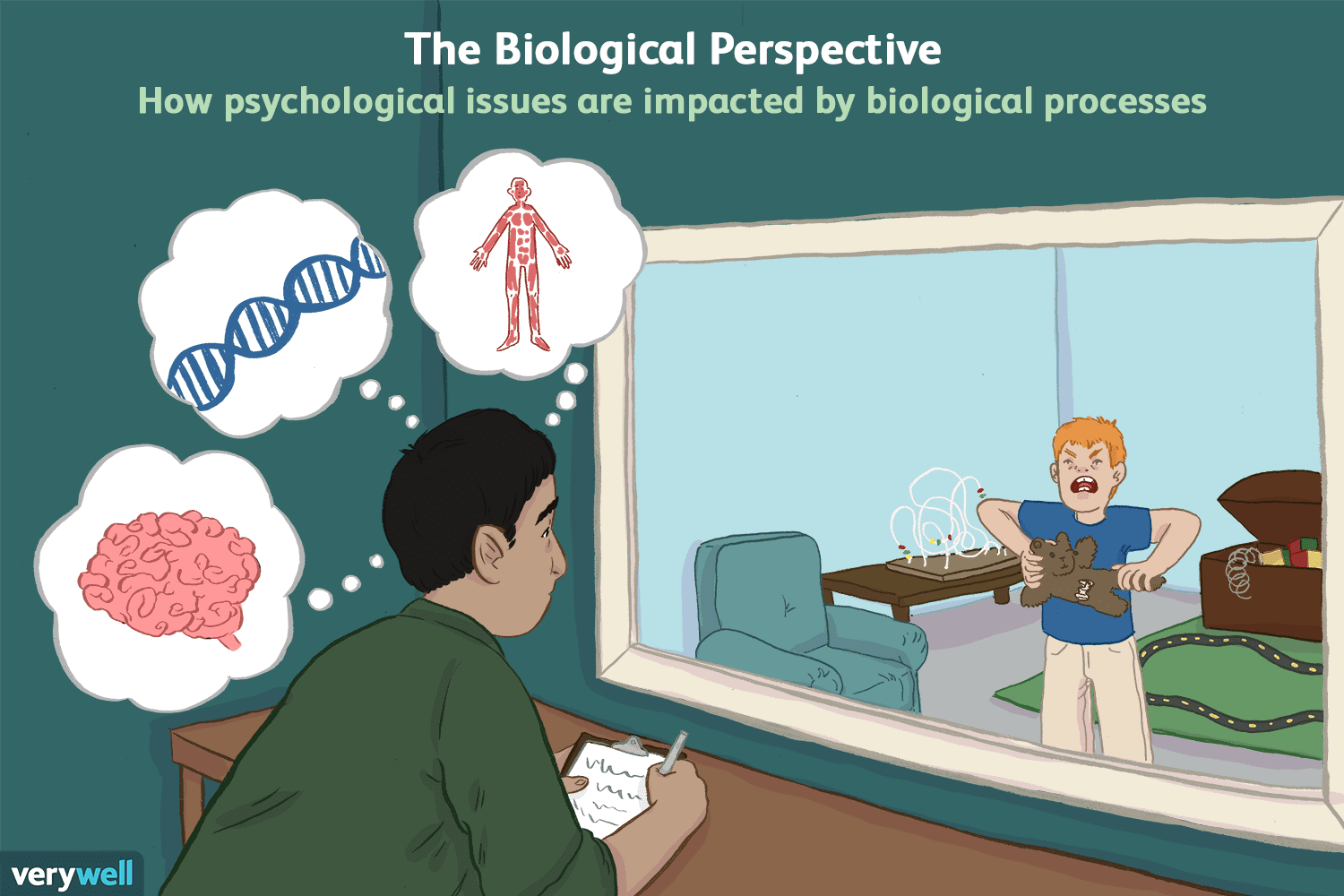 The Role of the Biological Perspective in Psychology