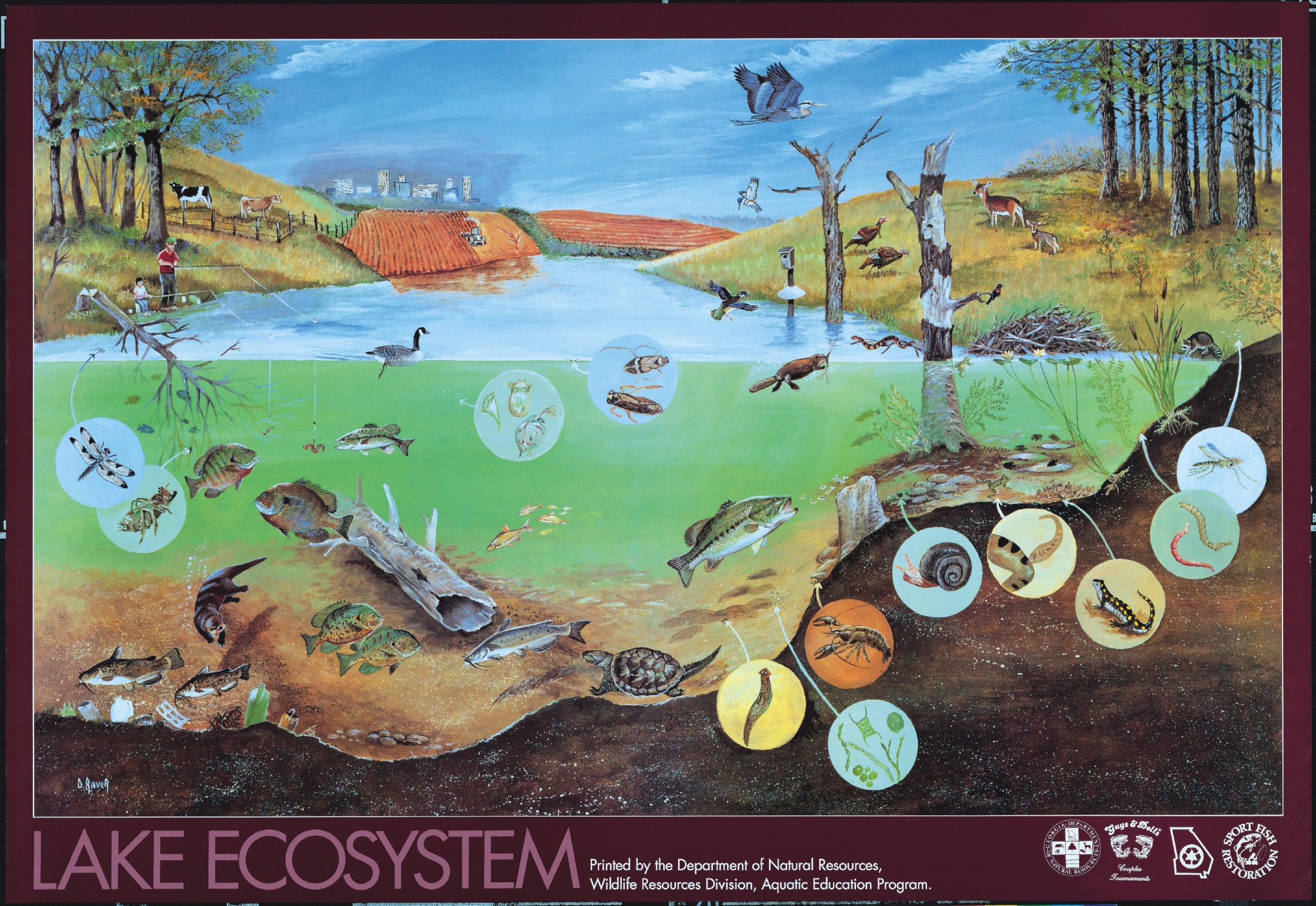 This is a lakes ecosystem