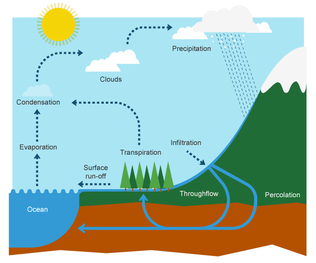 WATER CYCLE: The Process that Provides ALL THE WATER You ...