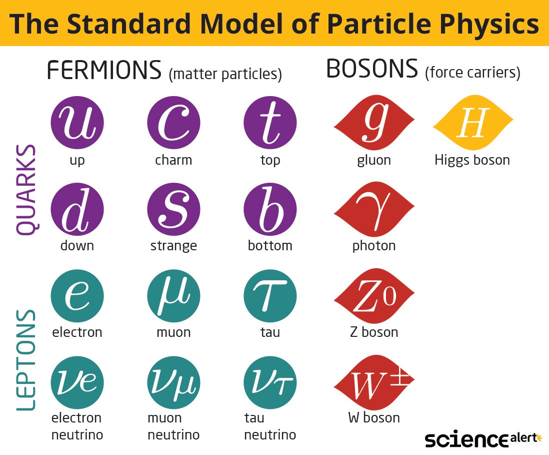 What Is The Standard Model of Particle Physics?