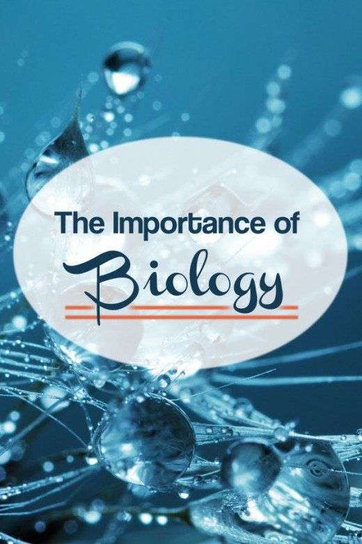 Why Studying Biology is Important