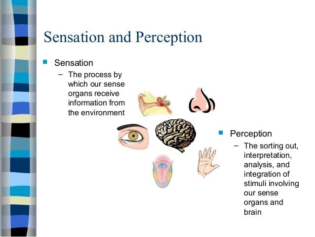 ð? Examples of sensation and perception psychology ...